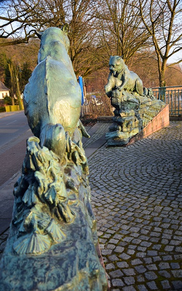 Seelöwe an der Baumgartenbrücke in Geltow